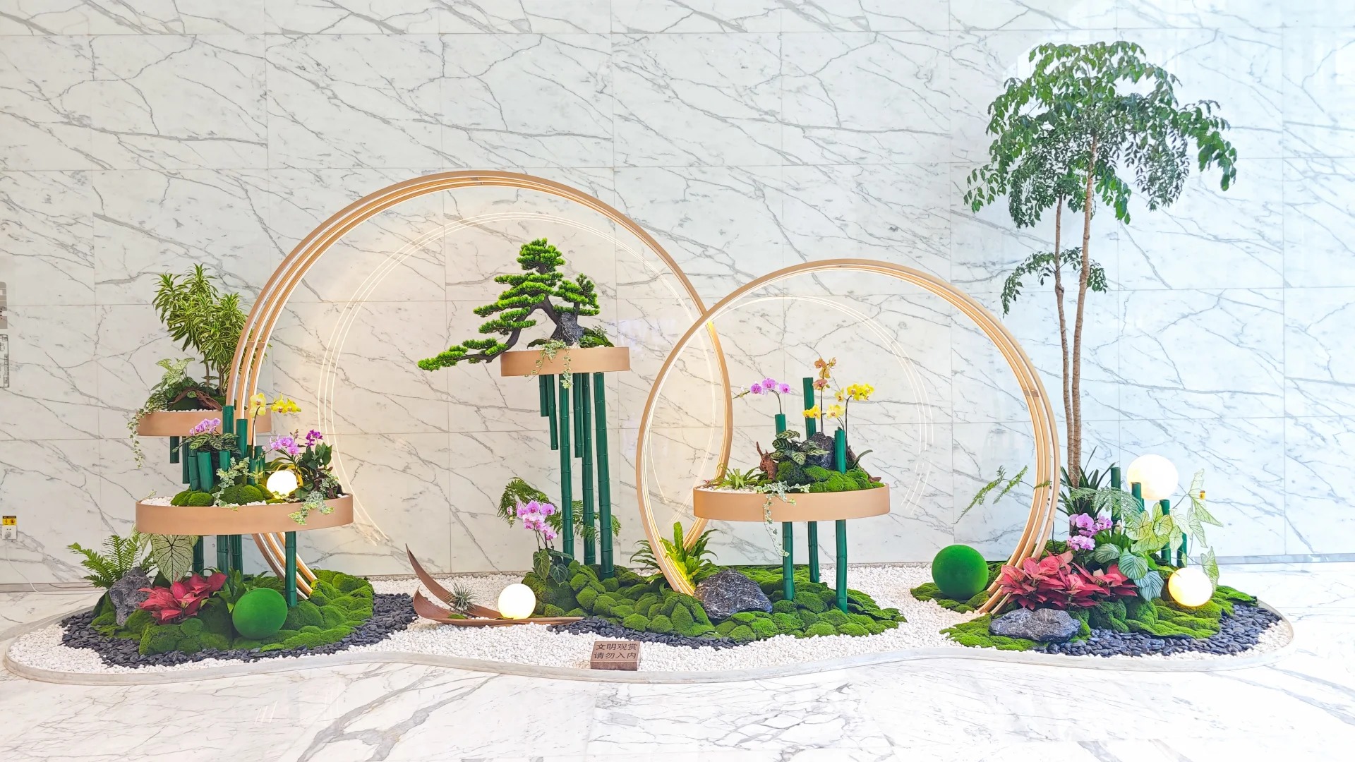 专业花木租赁在宁波江北，给你别样绿色体验